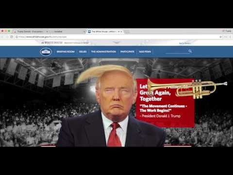 Trump Donald Everywhere gallery image