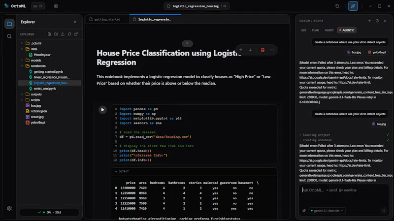 OctoML screenshot 6