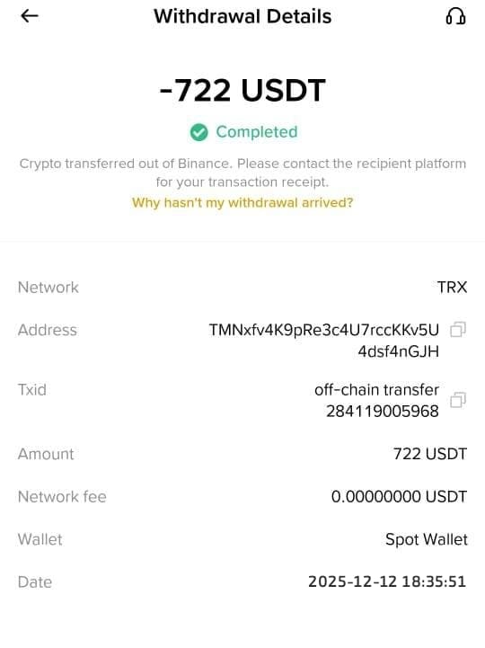 Flash USDT - Main product screenshot demonstrating key features and user interface