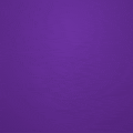 SELLsecure Scams investigator