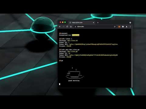 t3rm.dev gallery image