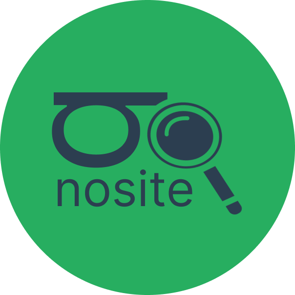 bnosite - Product Hunt launch logo and brand identity