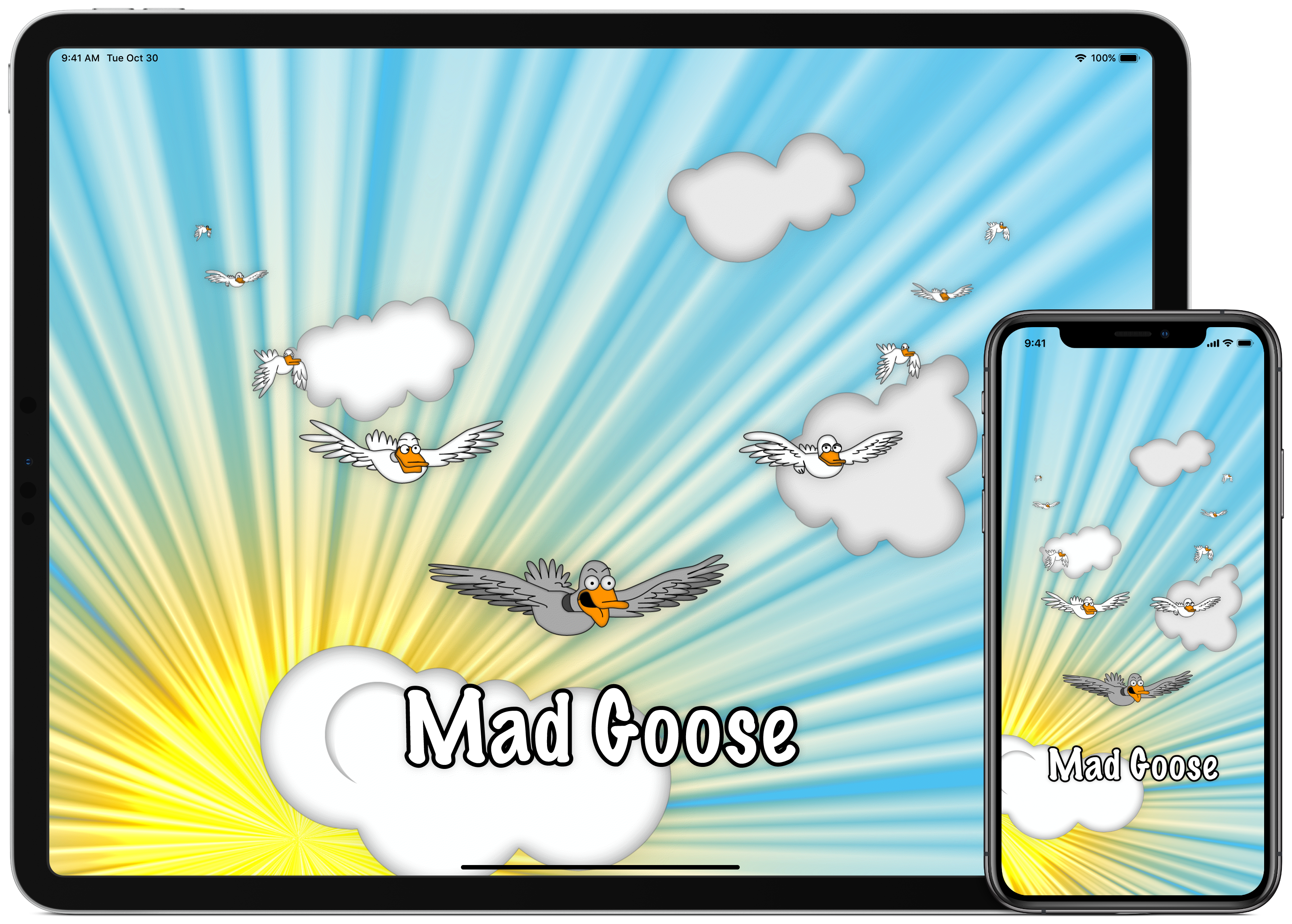 Mad Goose gallery image
