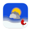 Birdy Weather