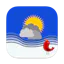 Birdy Weather