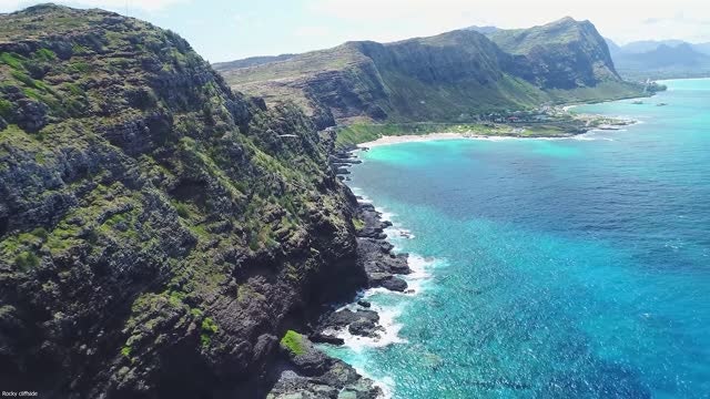 Free Stock Videos gallery image