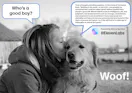 ElevenLabs Text to Bark