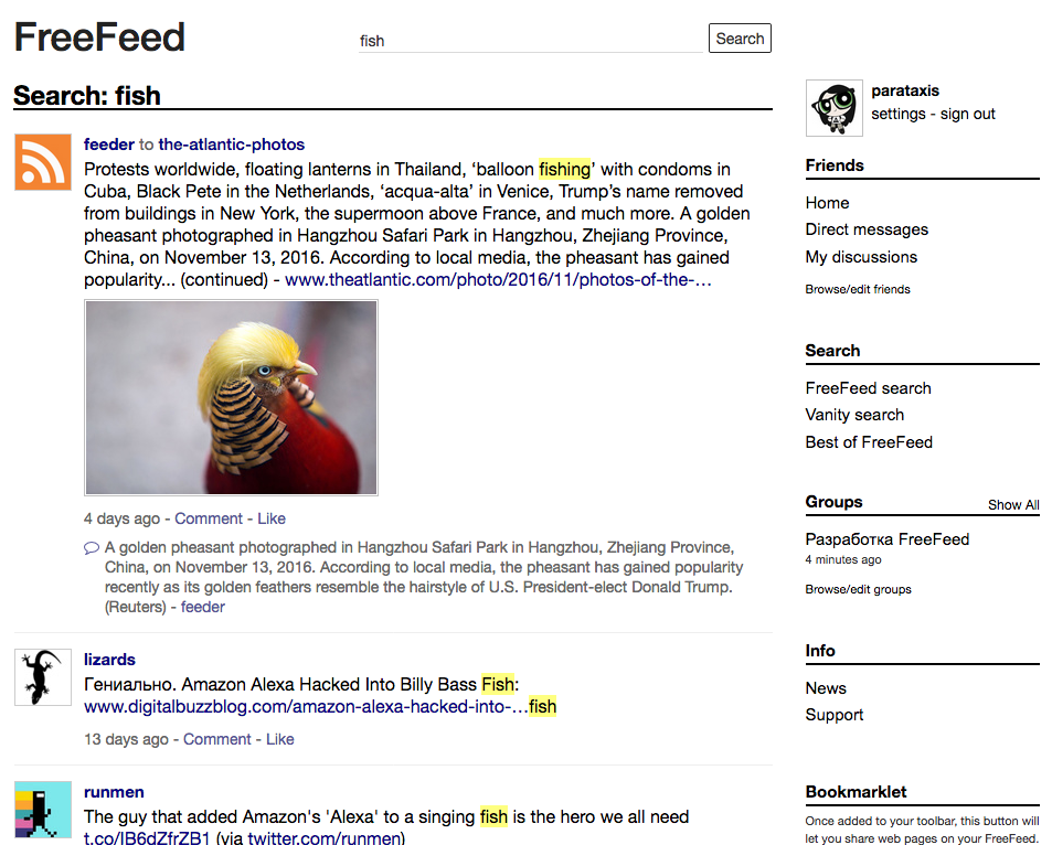 FreeFeed gallery image