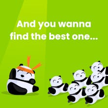 Pandarank gallery image