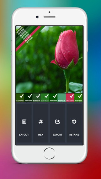 Snap Palette gallery image