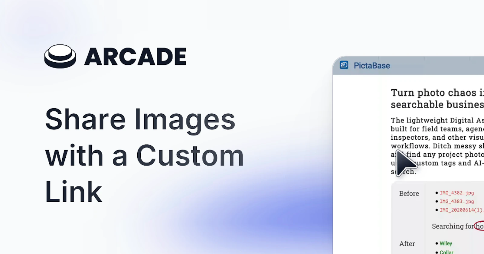 PictaBase screenshot 9