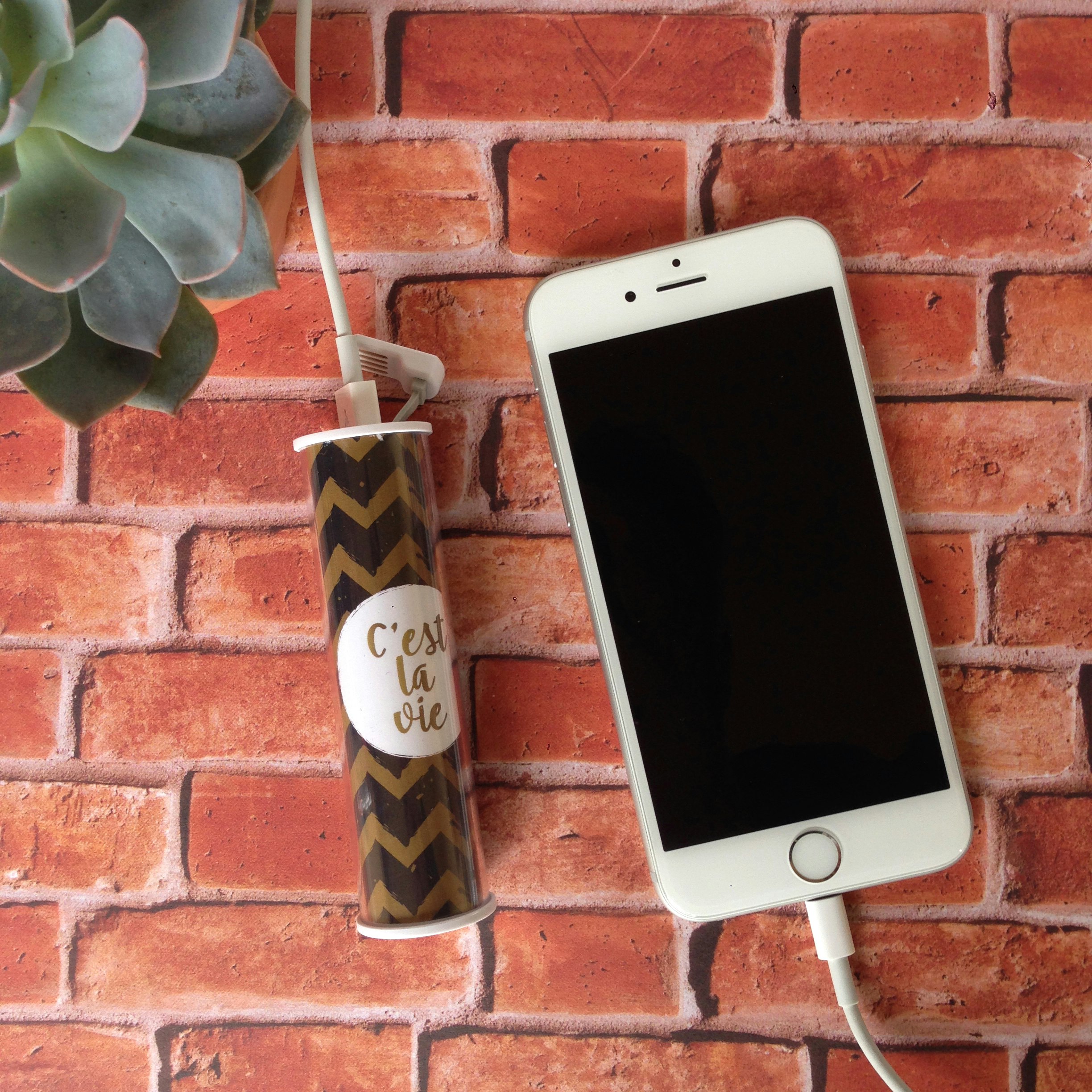 Reon Power Banks gallery image