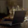 Random Useful Websites