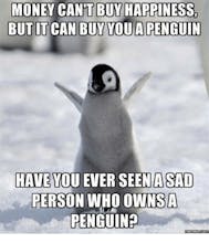 Polar Paradise: Coolest VS Code Theme gallery image