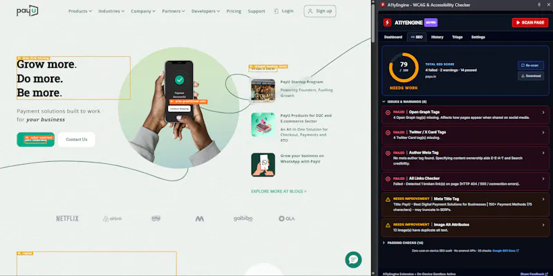 A11yEngine - WCAG & SEO Tool screenshot 2