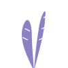 Vianora Skin