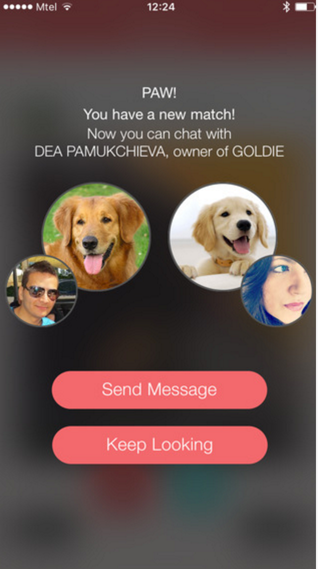 Doglar gallery image