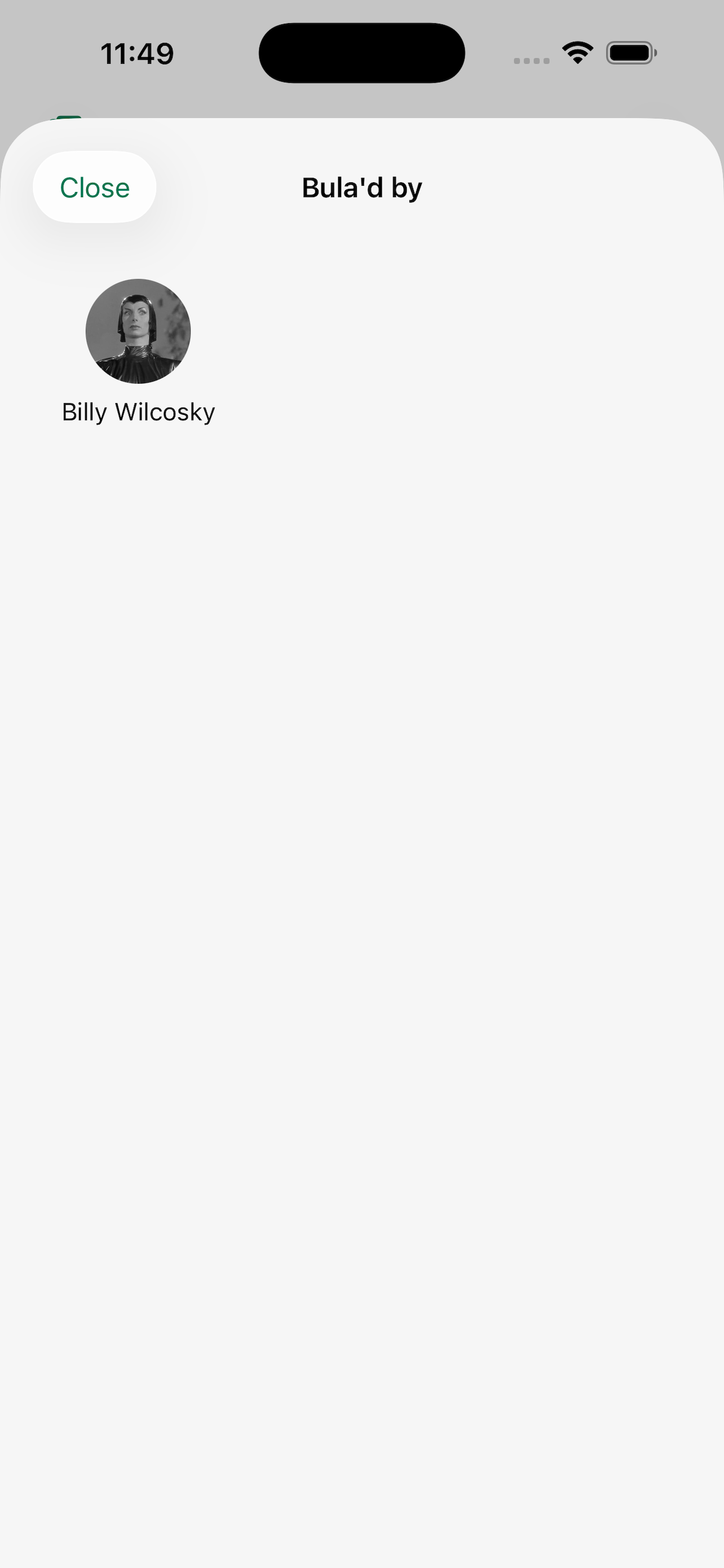 Bula Buddy gallery image