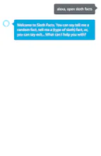 Sloth Facts gallery image