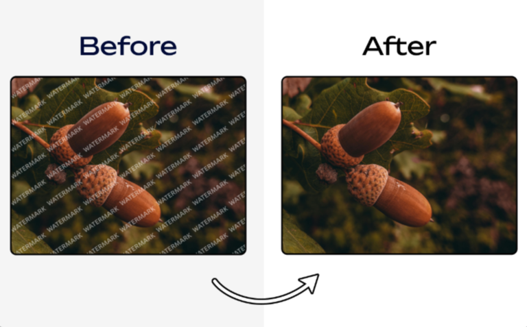 Delete Text from Image gallery image