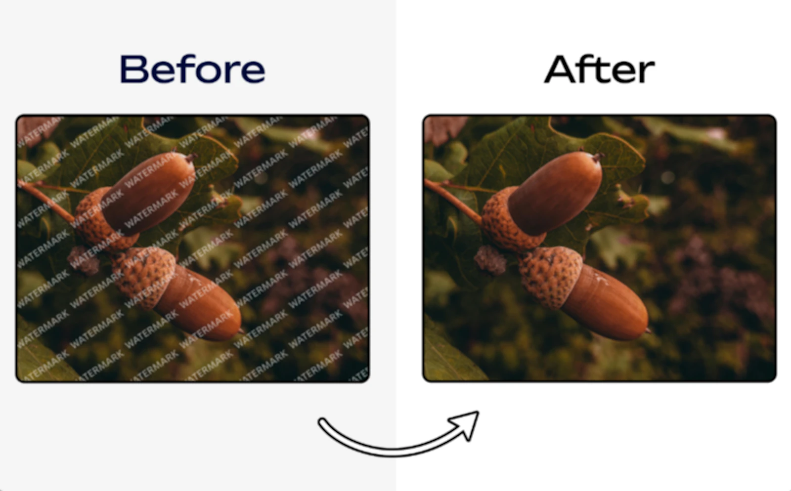 Delete Text from Image screenshot 2