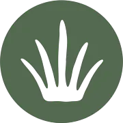 TouchGrass