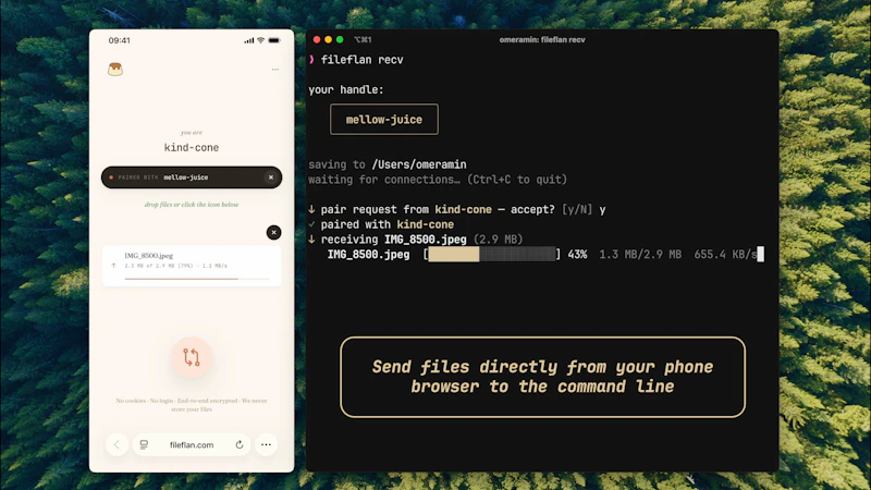 FileFlan screenshot 2
