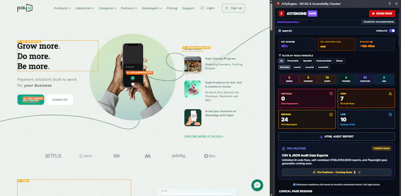 A11yEngine - WCAG & SEO Tool screenshot 1