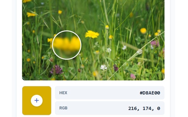 GK Color Studio - Main product screenshot demonstrating key features and user interface
