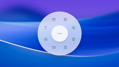 Radial gallery image