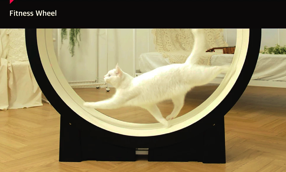 Little top cat treadmill