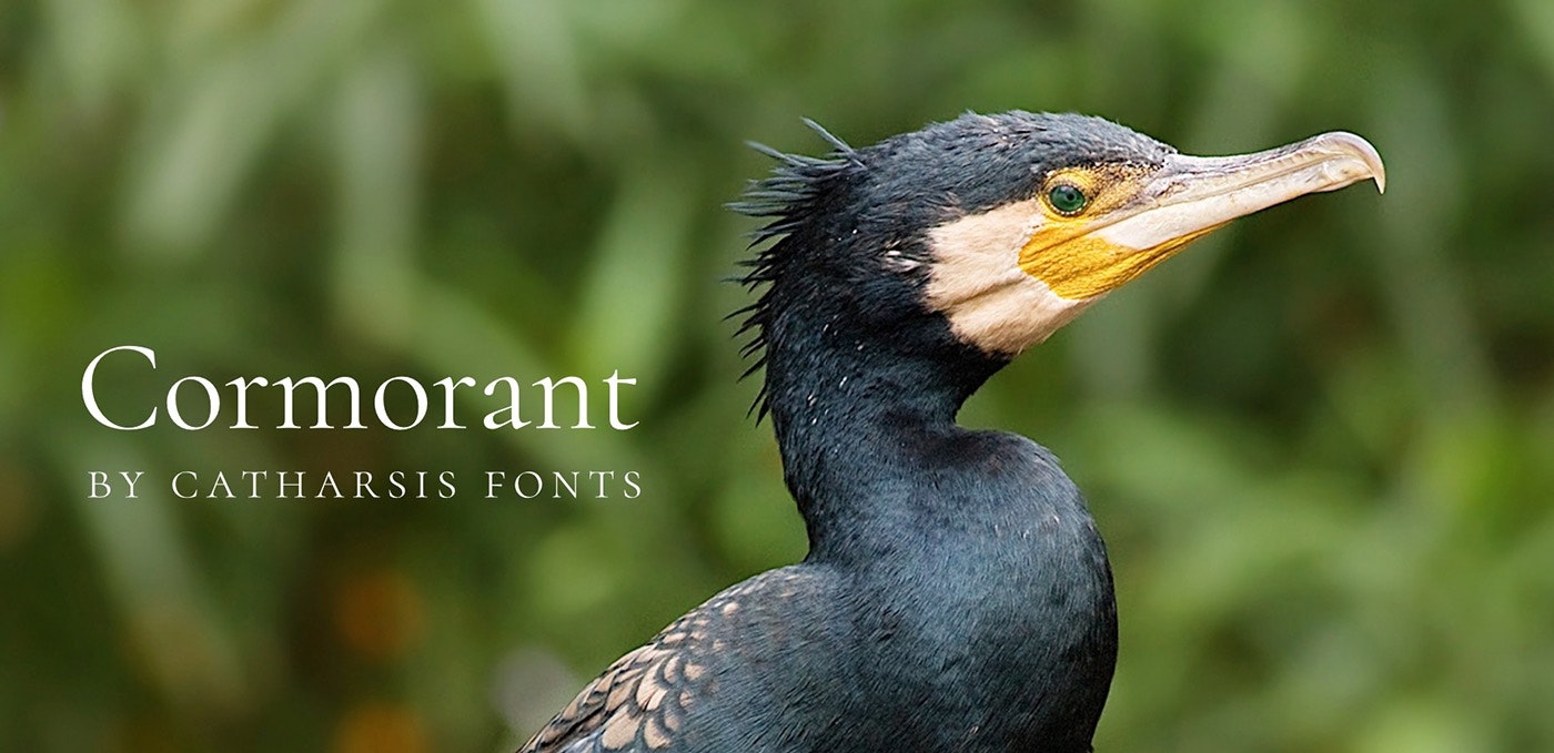 Cormorant Jobs & Careers Product Hunt