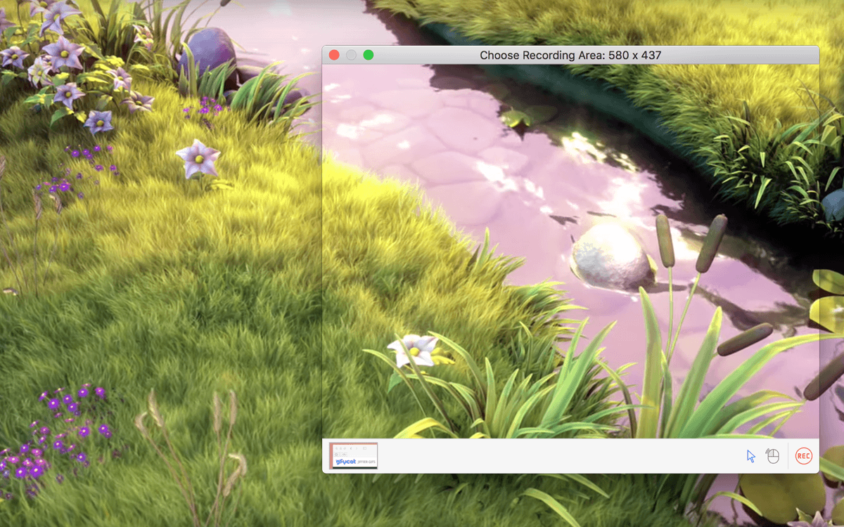 Gfycat gallery image