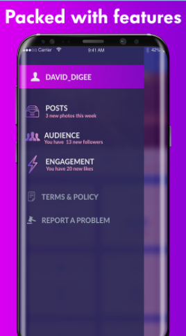 StatiGRAM - Instagram Profile Statistics gallery image