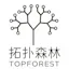 TopoForest (拓扑森林)