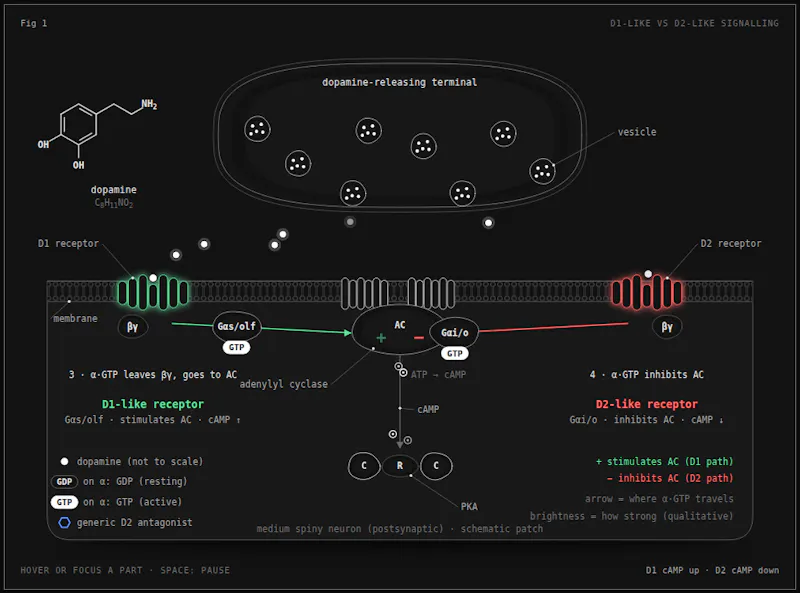 Anima screenshot 2