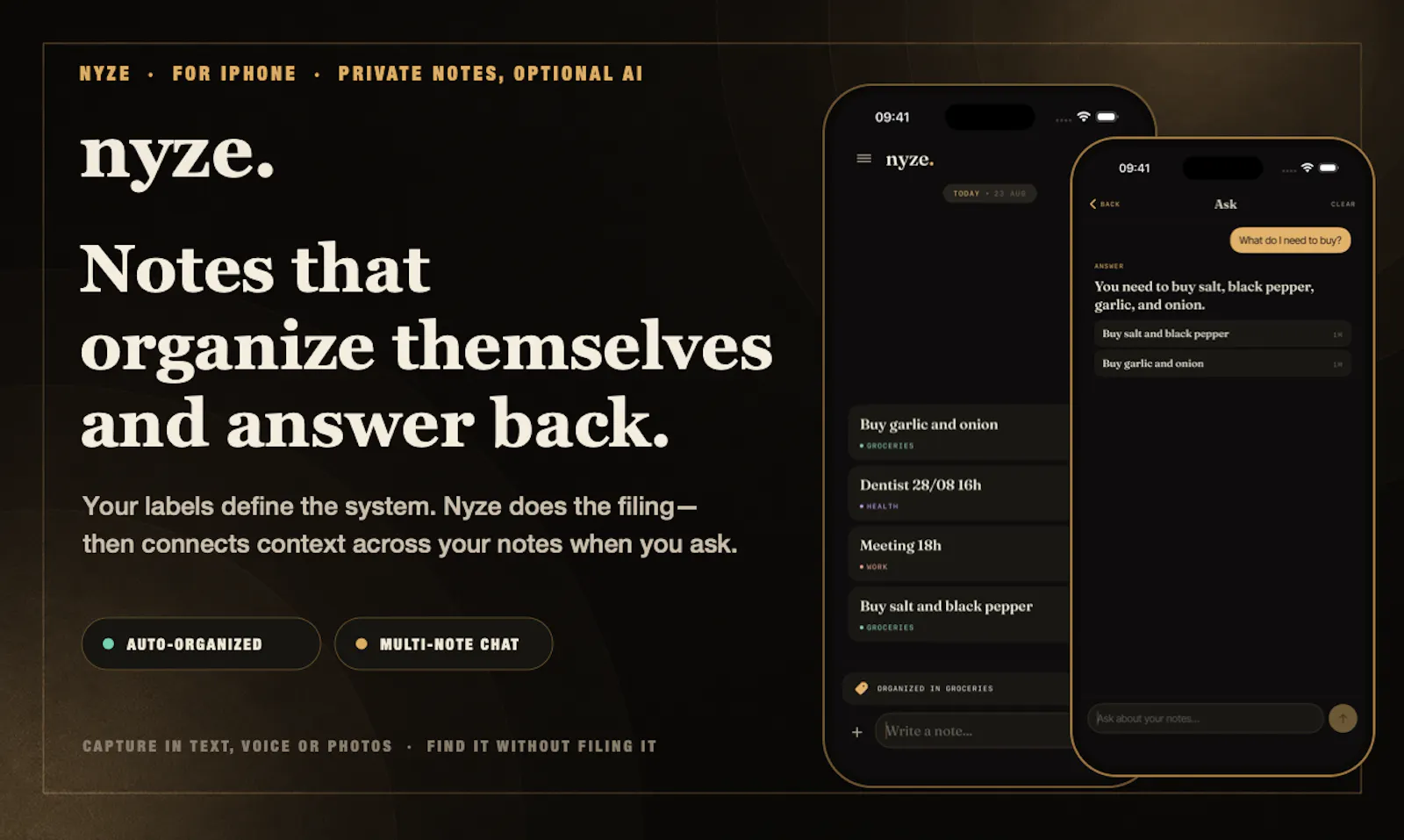 nyze screenshot 1