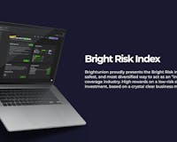 Bright Risk Index  media 2