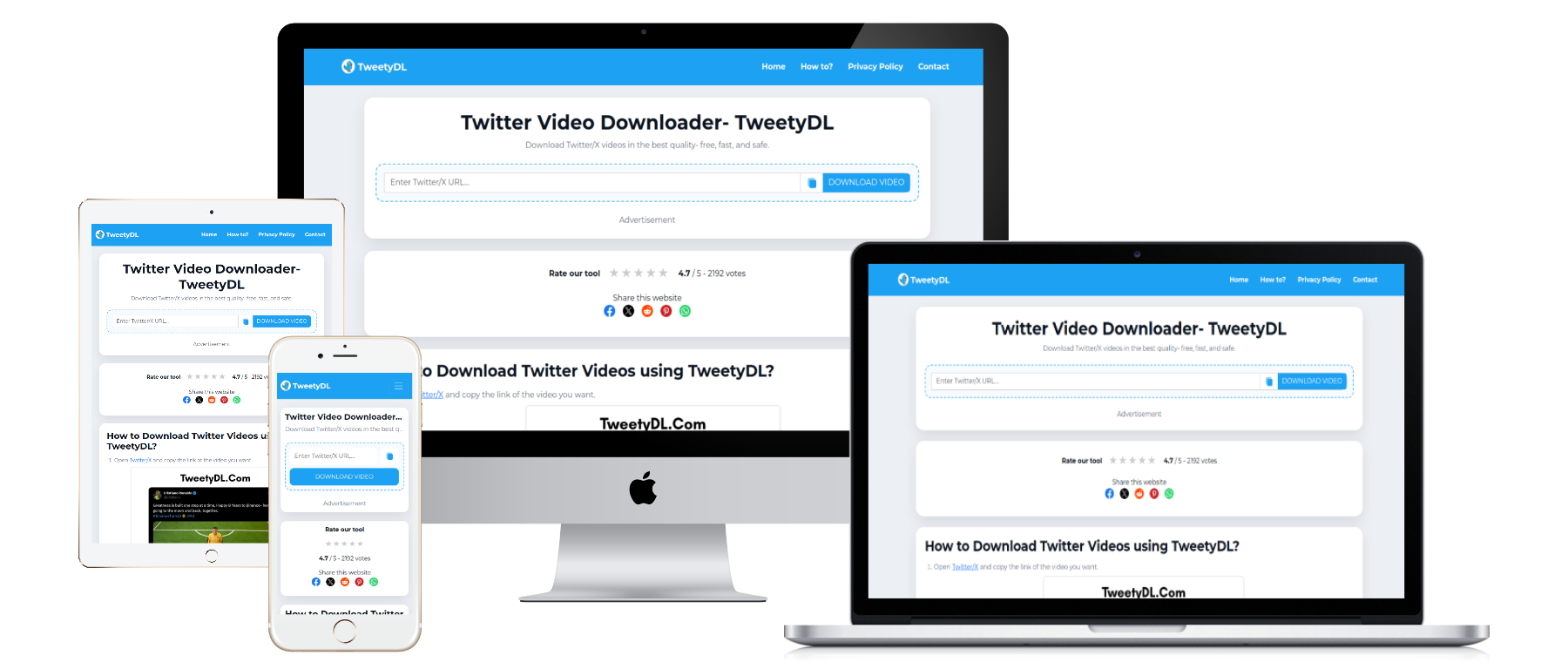 Média Tweetydl- Twitter Video Downloader - Des moyens rapides, clairs et faciles de télécharger des vidéos de X / Twitter. 2