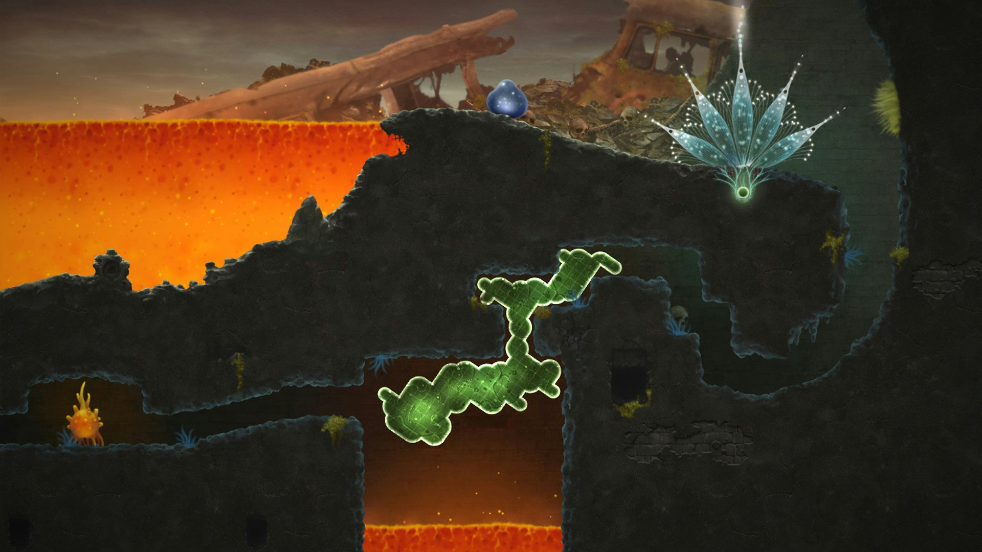 Mushroom 11 gallery image