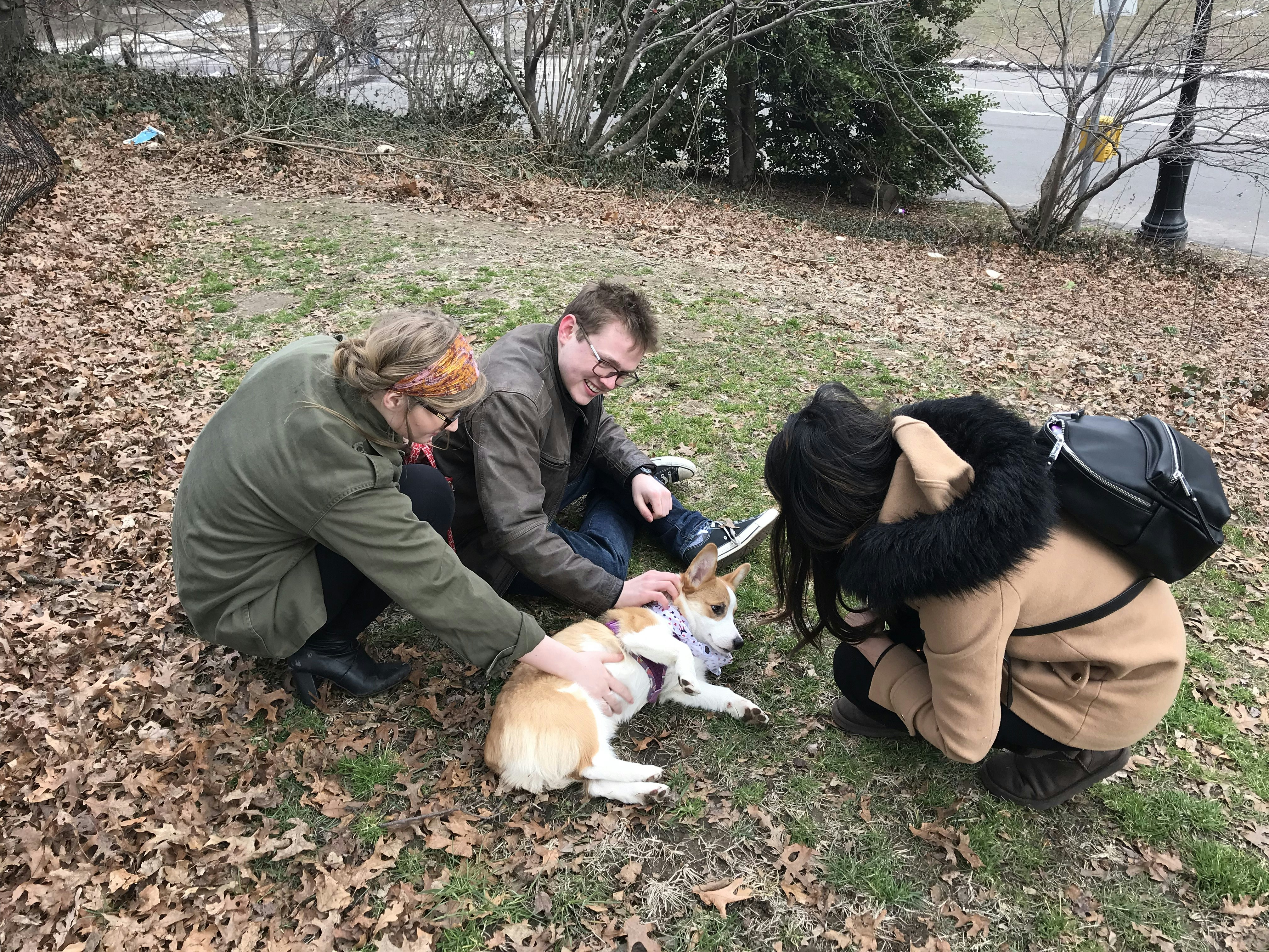 Pupprrr gallery image