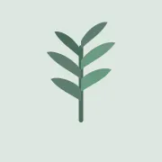 Wellsy: Health & Journal