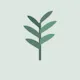 Wellsy: Health & Journal