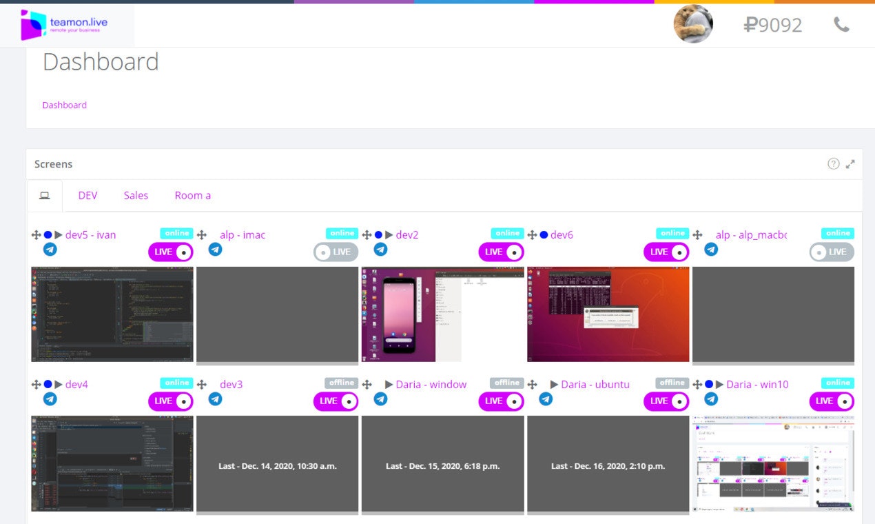 Teamon.live gallery image