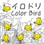 ColorBird Find The Bird Game APP