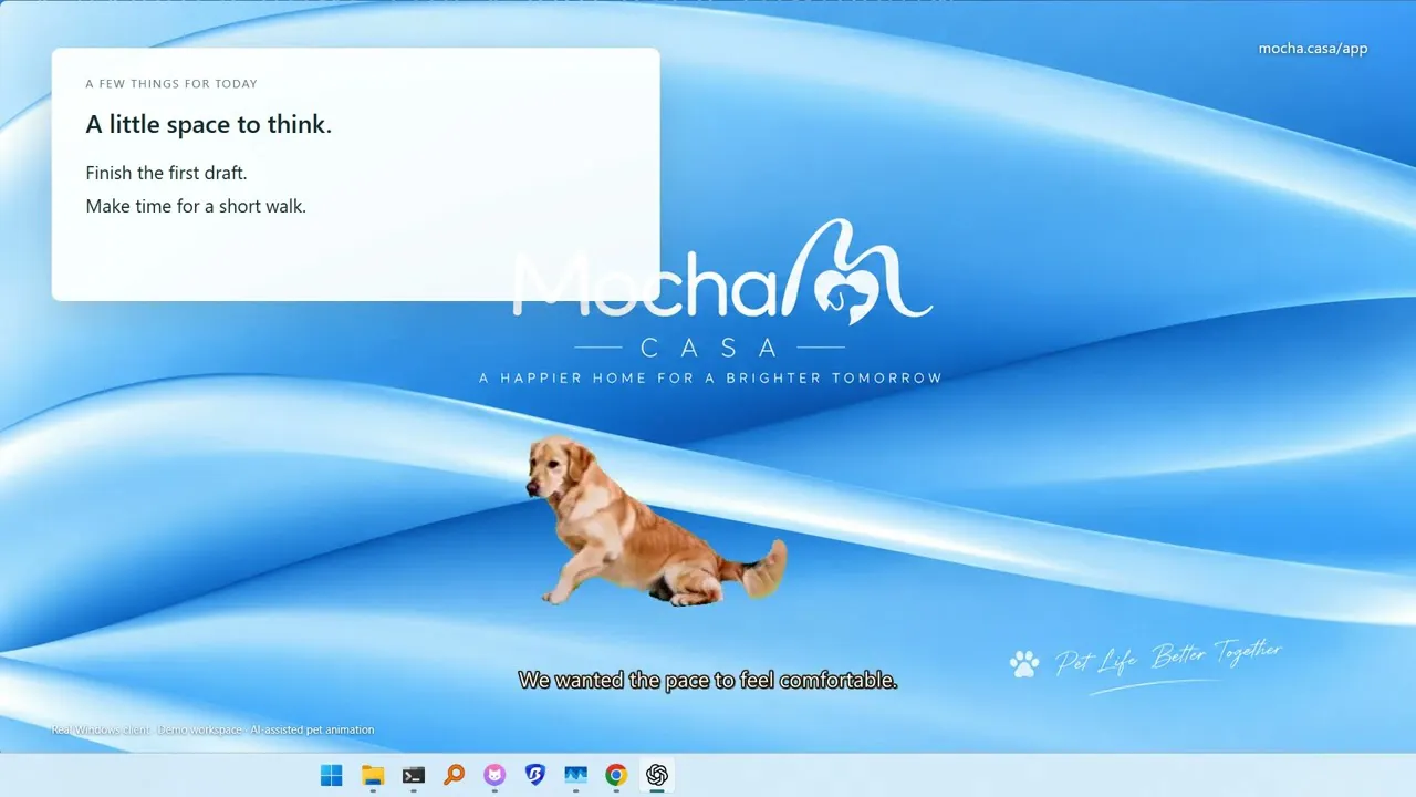 Mocha Casa Desktop Pets gallery image