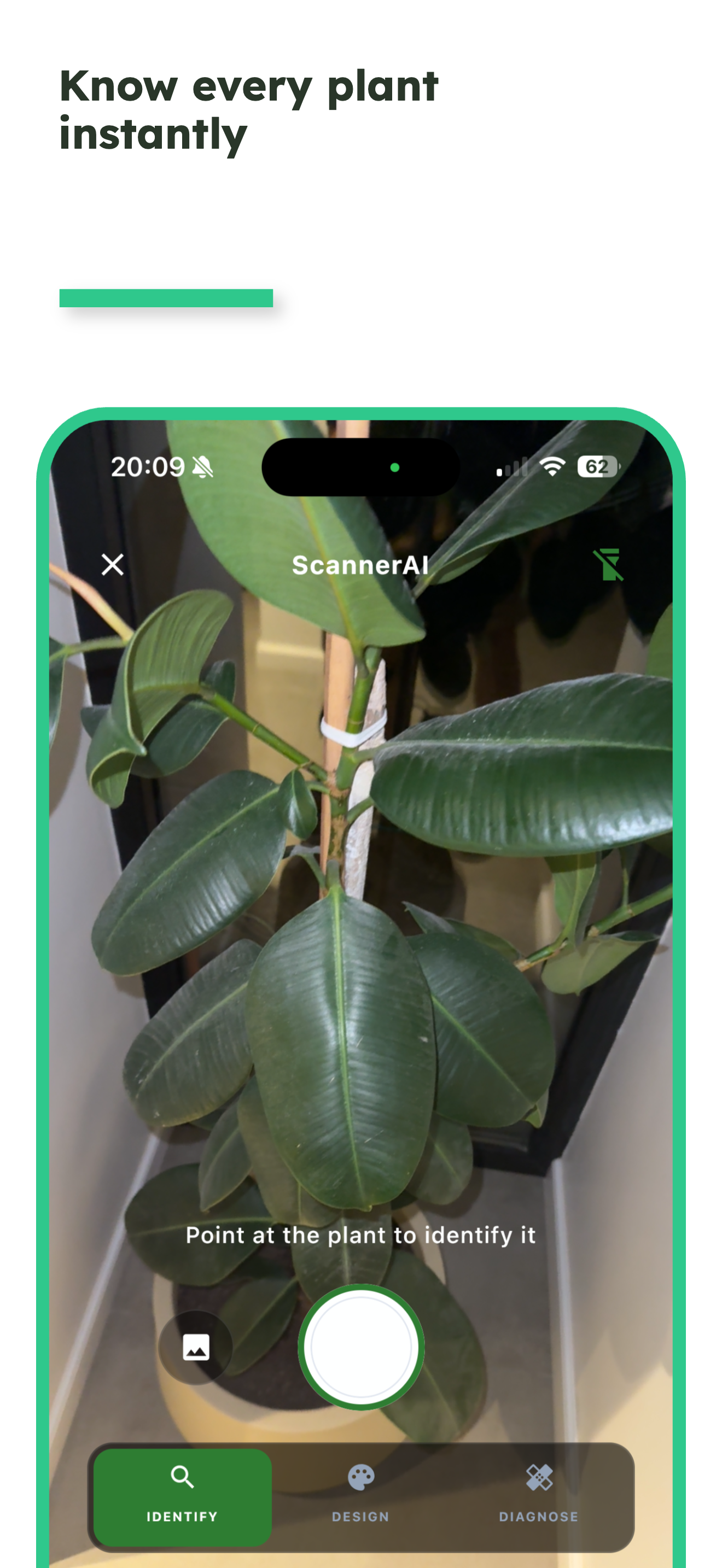 FloraAI gallery image