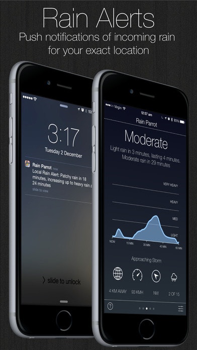 Rain Parrot gallery image