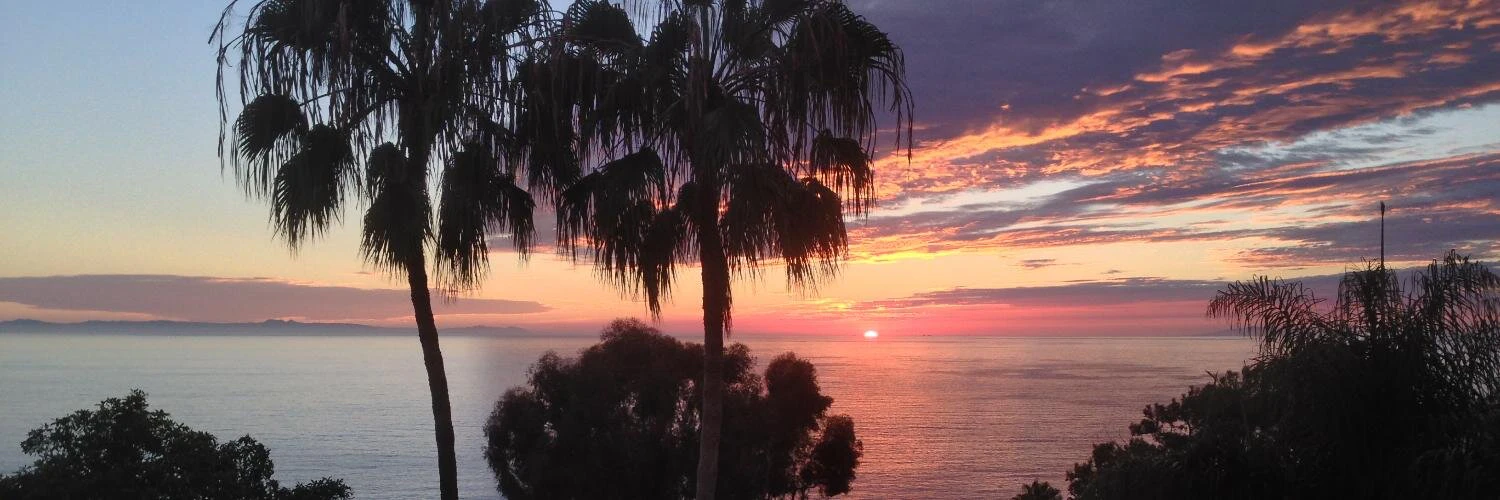 Ray Gillenwater cover