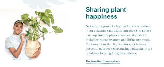 The Stem gallery image